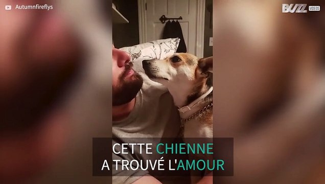 Cette chienne est tombée amoureuse du fiancée de sa maîtresse