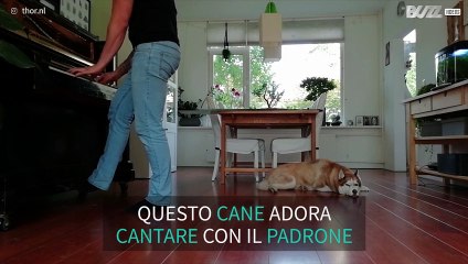 Un cane e il padrone cantano una canzone dei Linkin Park