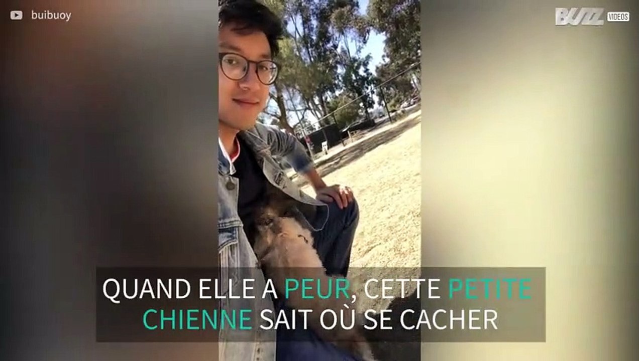 Ce chien aime se cacher dans la veste de son ma...