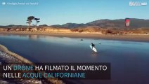 Drone riprende esperti di Kitesurf nelle acque californiane