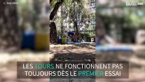 Cet acrobate rate son mouvement et tombe douloureusement au sol