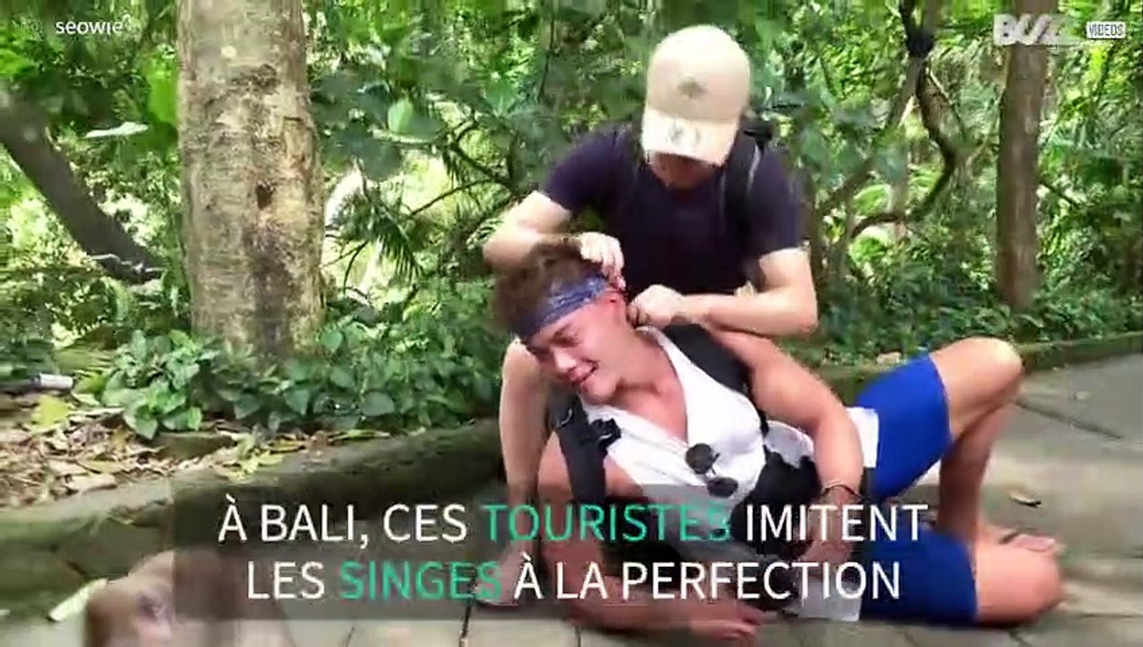 Ces touristes s'amusent à imiter des singes