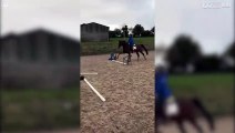 Un piccolo ostacolo troppo grande per questo cavallo