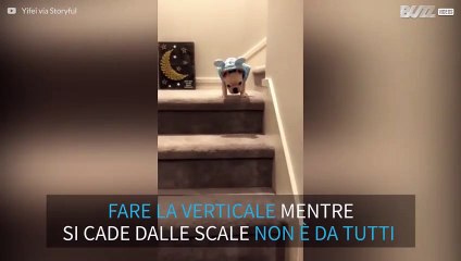Cucciolo di bulldog fa la verticale sulle scale