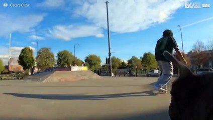 Skate, il 'surf' da strada inventato negli Stati Uniti