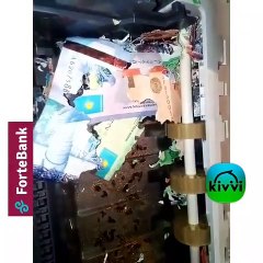 فئران تنهش اموال الصراف الالي في كازاخستان