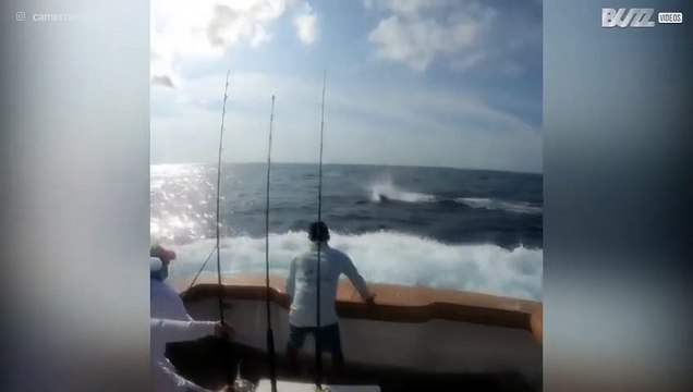 Barca di pescatori è invasa da un pesce gigante