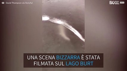 Pesce gigante nuota in un lago ghiacciato