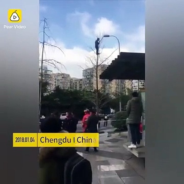 رجل يحاول الانتحار بالقفز من أعلى شجرة