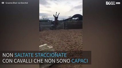 Salta la recinzione a cavallo... ma finisce male!