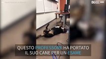 Il cane del Prof. in aula per calmare gli alunni