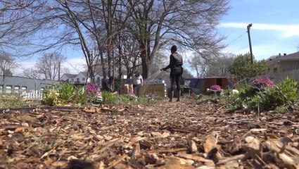 Woman creates community garden for fellow bartenders