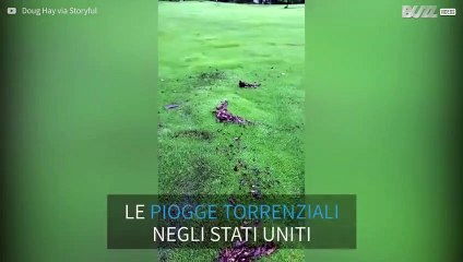 Campo da golf si trasforma in materasso d'acqua