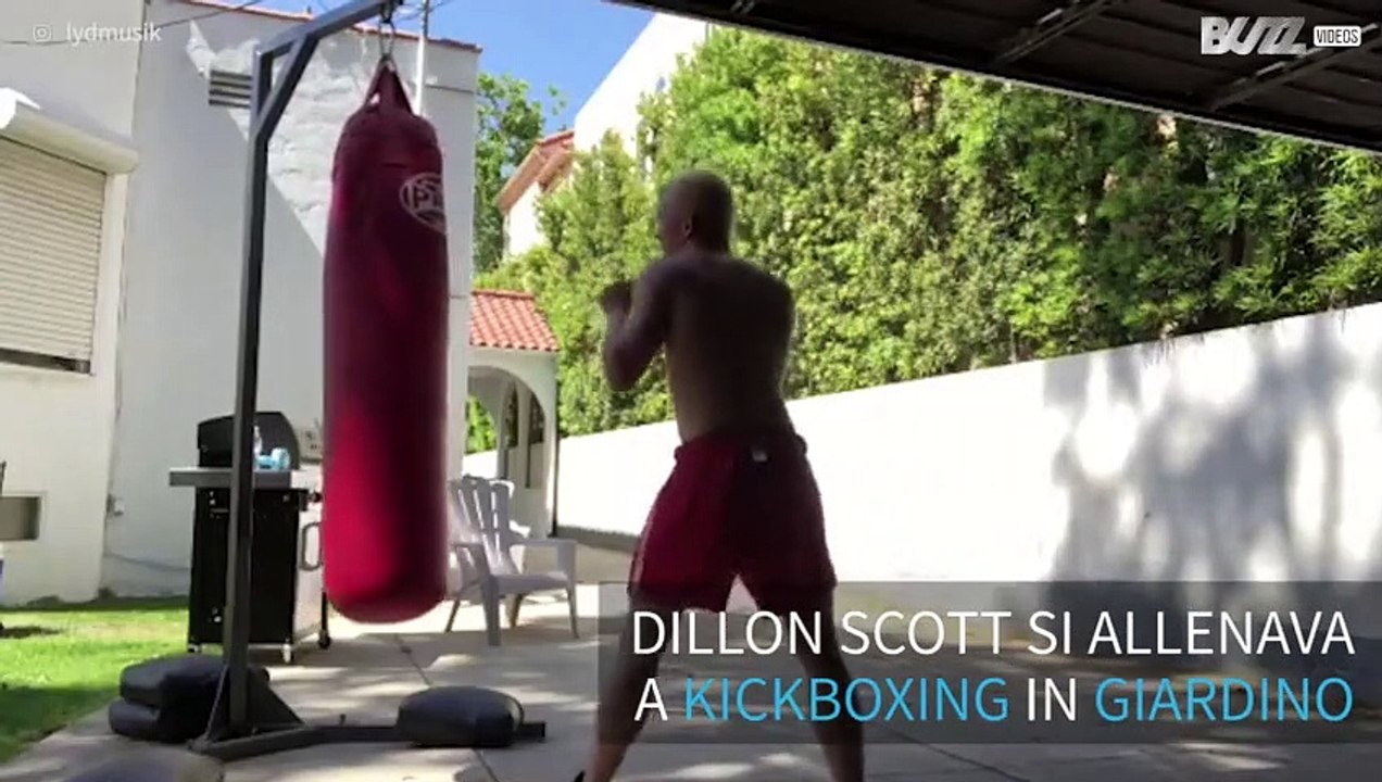 Il miglior calcio di kickboxing di sempre!