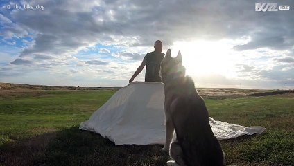 What The Fluff Challenge: il celebre trucco di magia raggiunge livelli stratosferici!