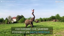 Uomo realizza salto mortale con l'aiuto di un elefante