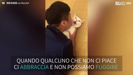 Gatto rimane sconvolto dalle coccole del padrone