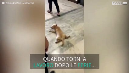 Si rifiuta di uscire, vuole solo le coccole