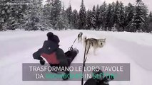 Una passeggiata sulla neve ad alta velocità