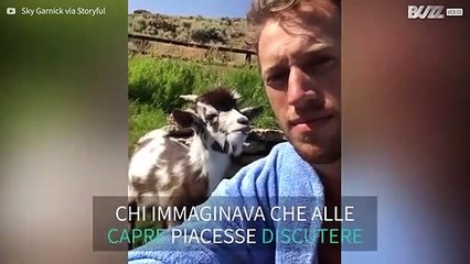 Una divertente discussione tra uomo e capretta