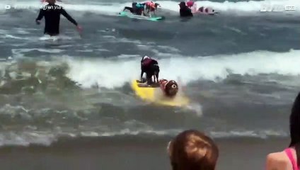 Cani competono in una gara di surf in California