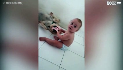 La lotta tra un bimbo e il suo cane