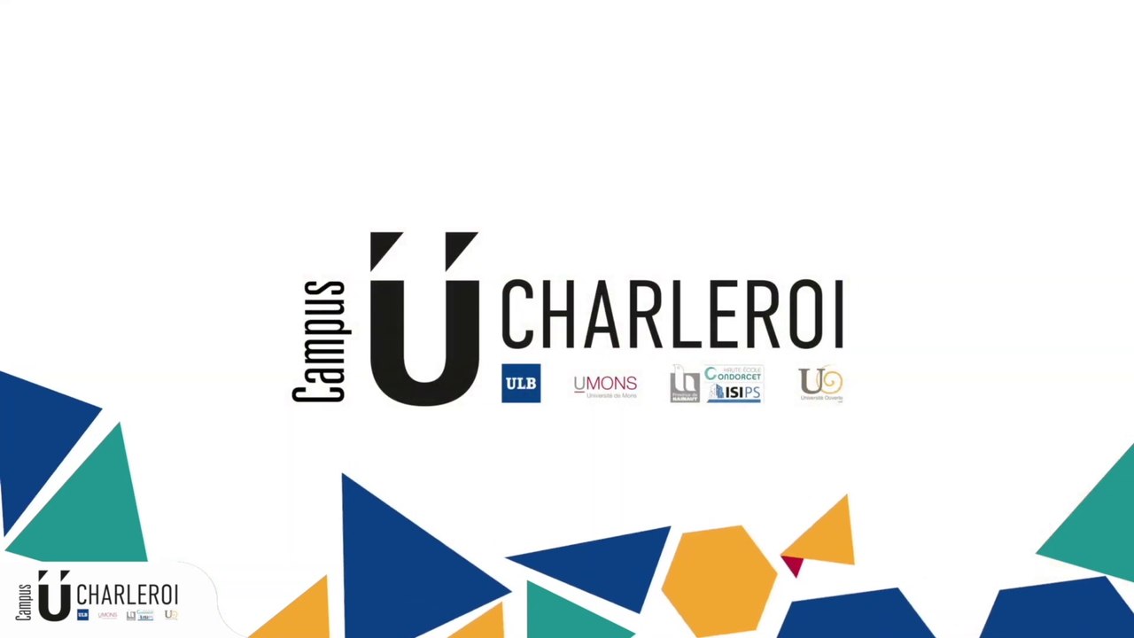 CDLP du 11 mars : Visite du chantier de l'UT