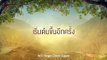 Thai BL Series Trailer with English Subtitles_ A TALE OF THOUSAND STARS (นิทานพันดาว) _ Facebook