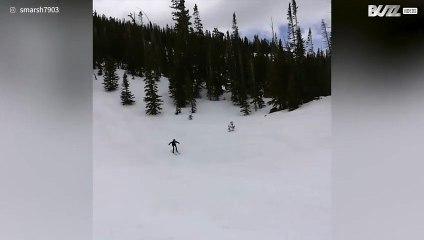 Ciò che succede quando si ha troppa fiducia!