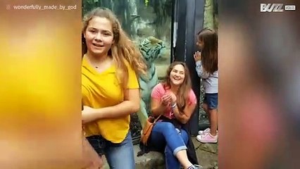 Tigre gioca con dei bambini allo zoo
