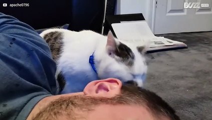 Katt elsker å vaske eierens hår