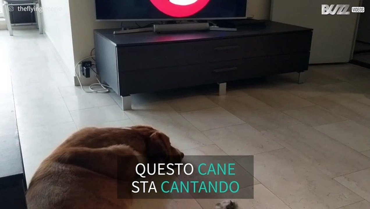 Cane adora la colonna sonora di 'Ghostbusters'