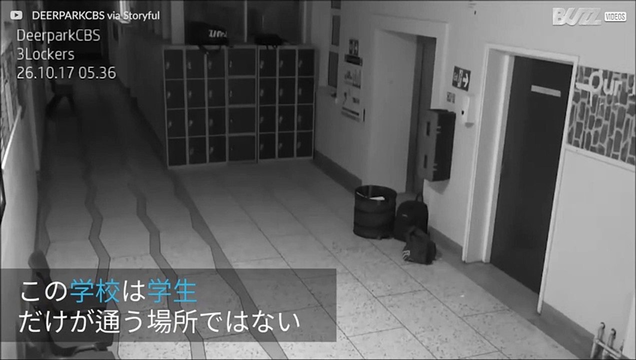 アイルランドの学校を訪問する幽霊