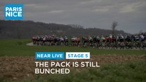 #ParisNice2021 - Étape 5 / Stage 5 - Le peloton est toujours groupé / The pack is still bunched