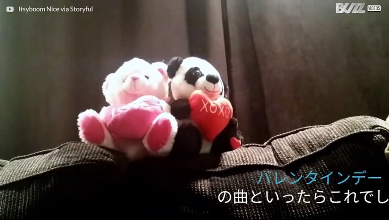 バレンタインデーのダンスをするテディベア