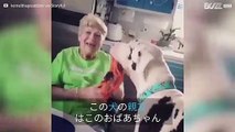 90歳のおばあちゃんの親友は巨大な犬
