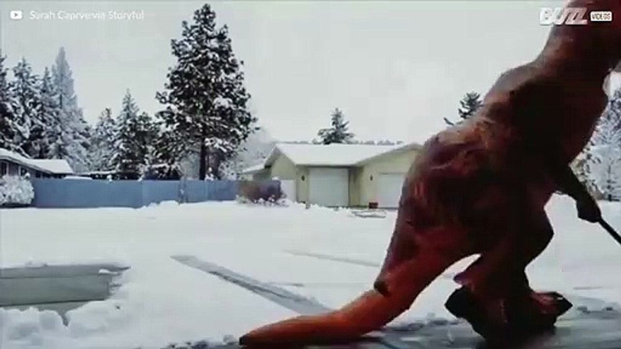 プロ級の腕前で雪かきするティラノサウルス
