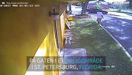 Fly treffer to biler etter nødlanding i Florida
