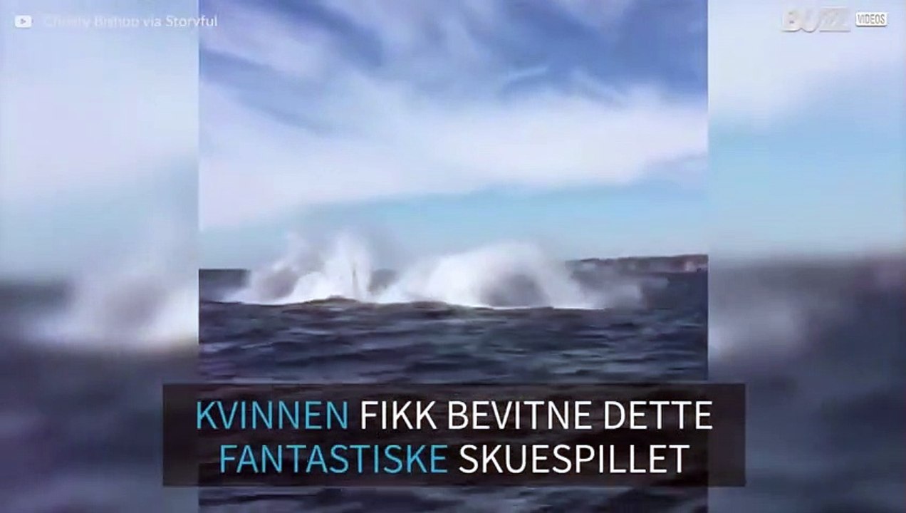 Hvaler utfører majestetiske skuespill