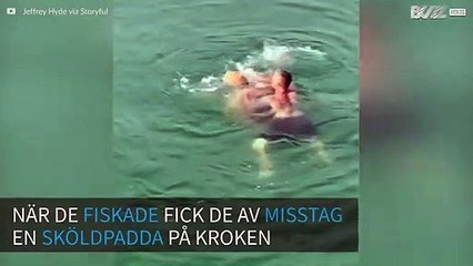 En jättesköldpadda räddas efter att ha fastnat på en fiskekrok