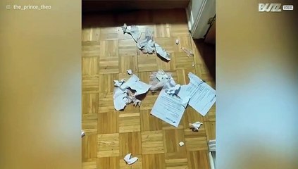 En angrende synder etter rampestreker!