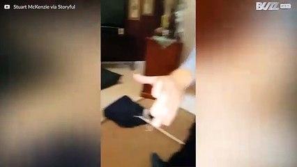 Mann finner slange i huset sitt i Australia