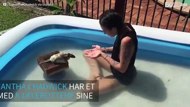 Australsk modell leker med kjæledyrrottene sine i bassenget