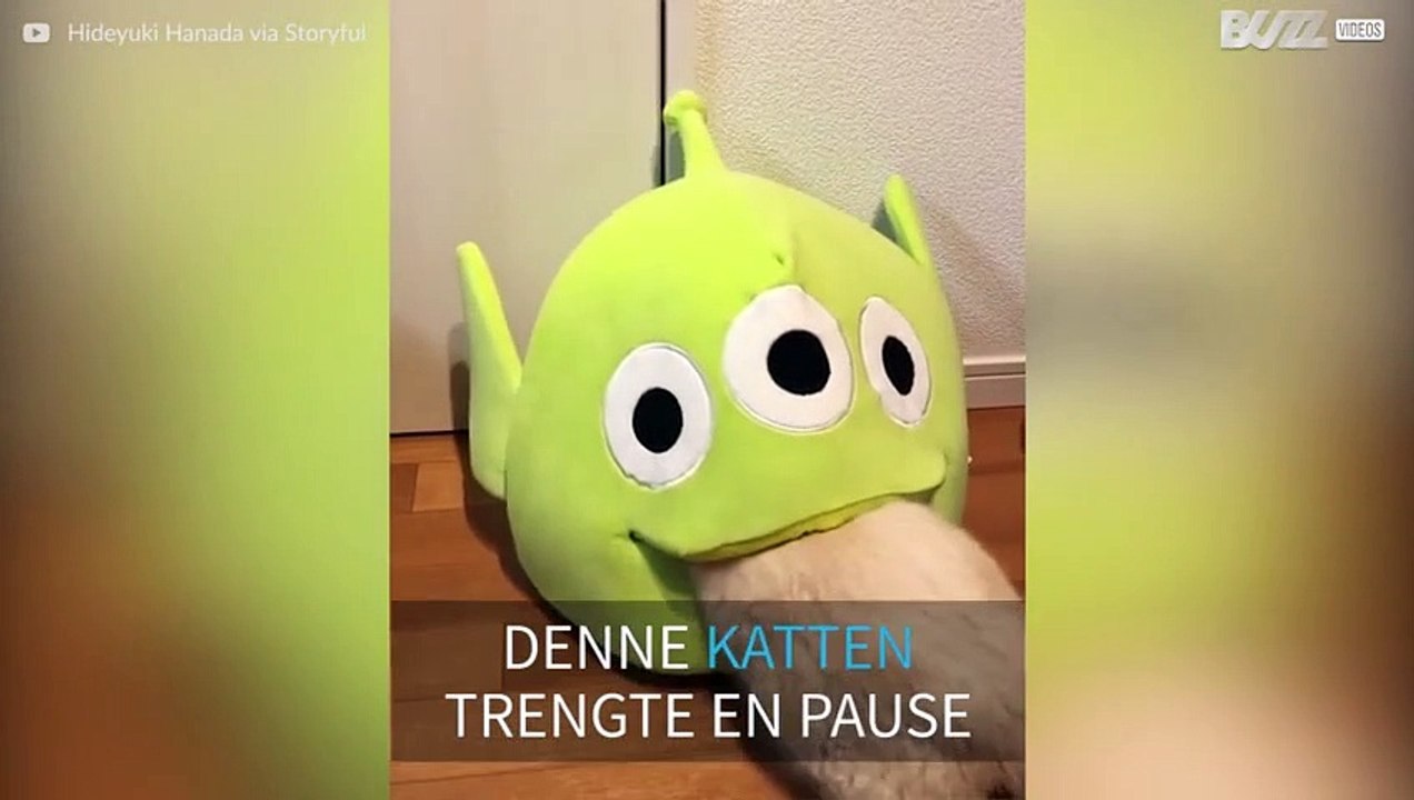 Katt blir slukt av et 'romvesen'