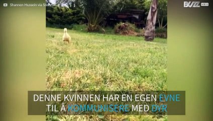 Denne kvinnen er Australias svar på 'Doktor Dyregod'!