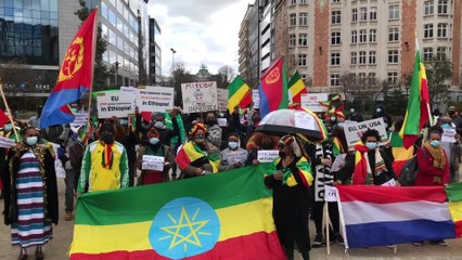 Manifestation de la diaspora éthiopienne suite à la guerre au Tigré