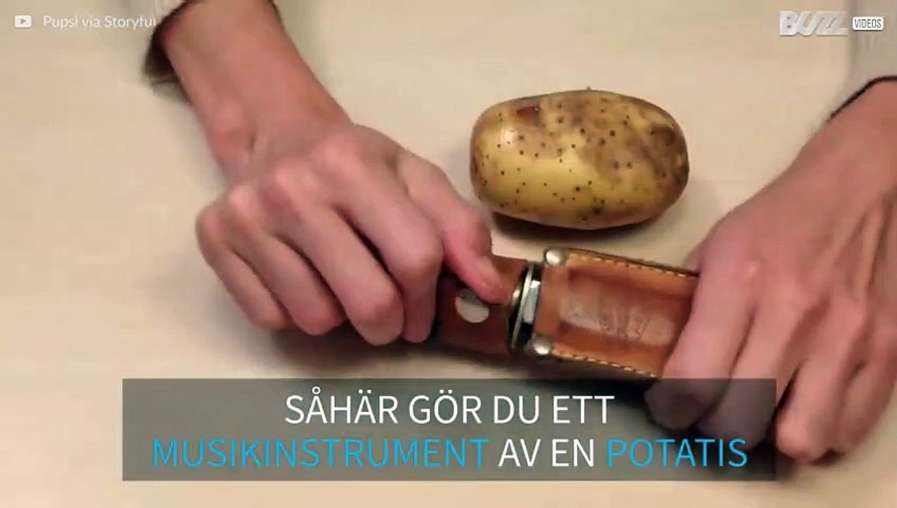 Såhär spelar du 'Sandstorm' av Darude med en potatis