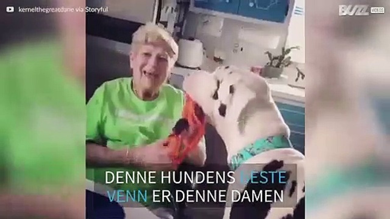 Denne 90-årige kvinnens beste venn er en stor hund