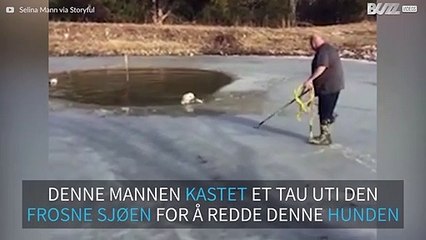 Smart hund biter fast i et tau for å redde seg fra frossen innsjø