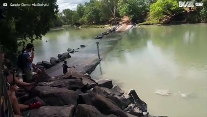 Episk kamp mellom krokodille og fisker i australsk elv
